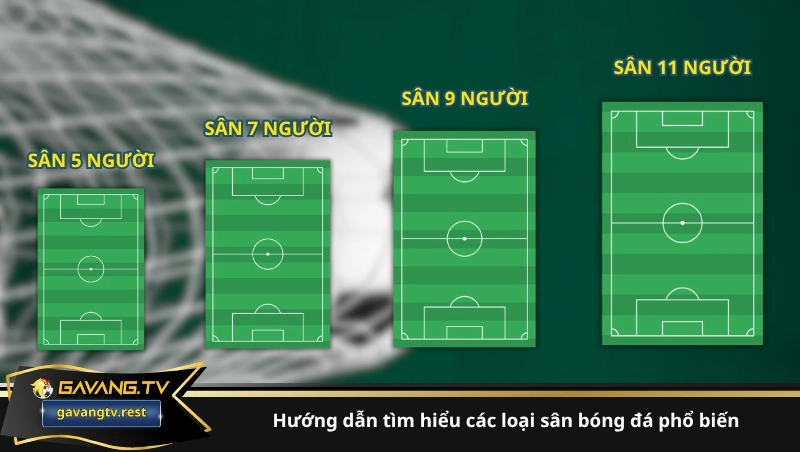 Hướng dẫn tìm hiểu các loại sân bóng đá phổ biến