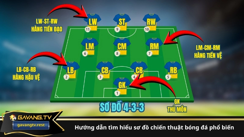 Hướng dẫn tìm hiểu sơ đồ chiến thuật bóng đá phổ biến