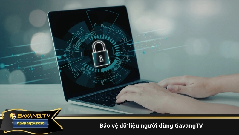 bảo vệ dữ liệu người dùng GavangTV