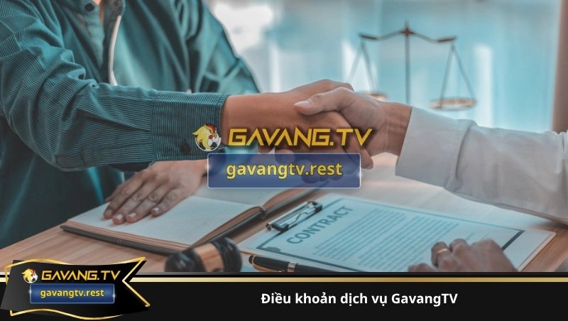 điều khoản dịch vụ GavangTV