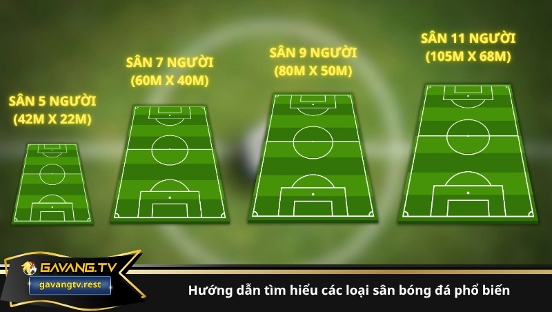 Hướng dẫn so sánh kích thước các loại sân bóng đá