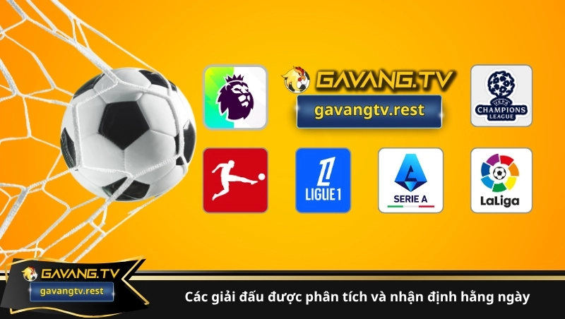 nhận định bóng đá GavangTV