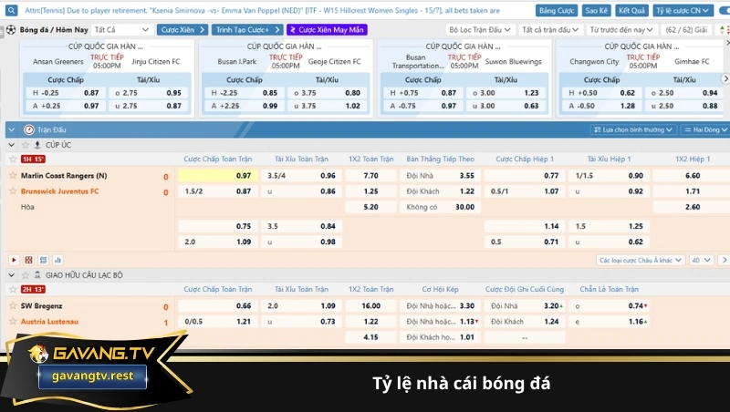 tỷ lệ nhà cái bóng đá